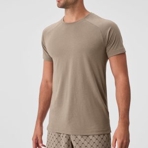 Triumph Raglan Tee - Gravel