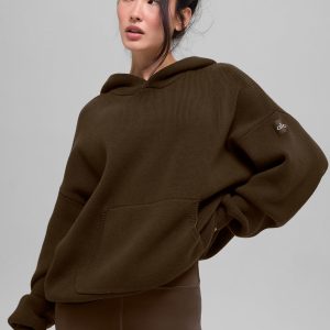 Scholar Hooded Sweater - Espresso